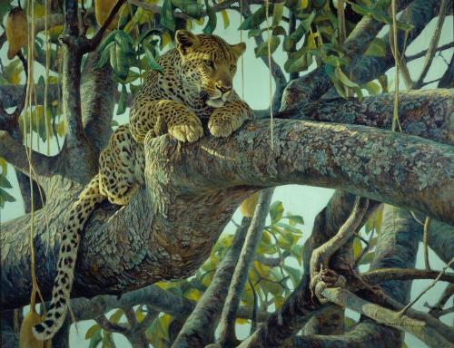 Leopard in a Sausage Tree