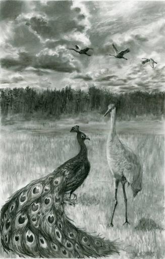 The Peacock and the Crane