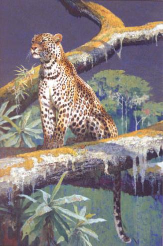 In the High Forest - Leopard