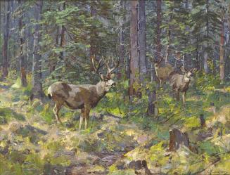 Buck and Doe in the Woods
