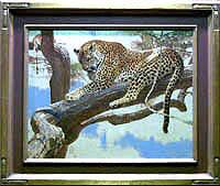 Leopard, African Suite