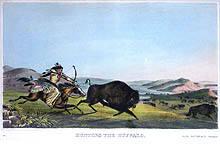 Hunting the Buffalo