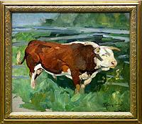 Hereford Bull