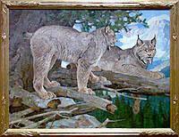 Canadian Lynx