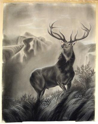 The Monarch of the Glen