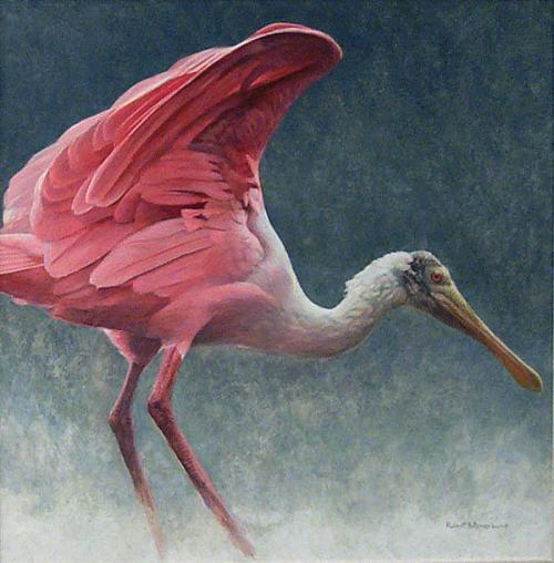 Roseate Spoonbill