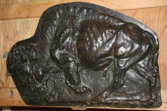 Buffalo Relief