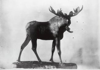Courtesy of the Library of Congress