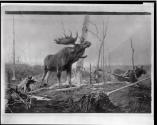 Courtesy of the Library of Congress