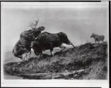 Courtesy of the Library of Congress