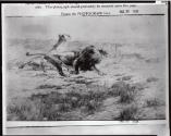 Courtesy of the Library of Congress
