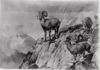 Courtesy of the Library of Congress