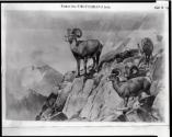 Courtesy of the Library of Congress