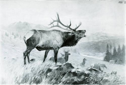 Courtesy of the Library of Congress