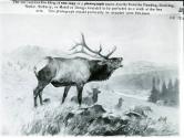 Courtesy of the Library of Congress