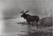Courtesy of the Library of Congress