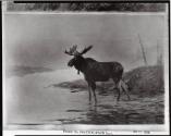 Courtesy of the Library of Congress