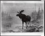Courtesy of the Library of Congress