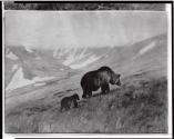 Courtesy of the Library of Congress