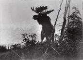 Courtesy of the Library of Congress