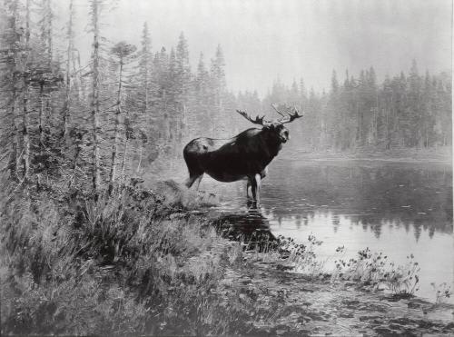 Courtesy of the Library of Congress