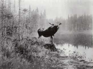 Courtesy of the Library of Congress