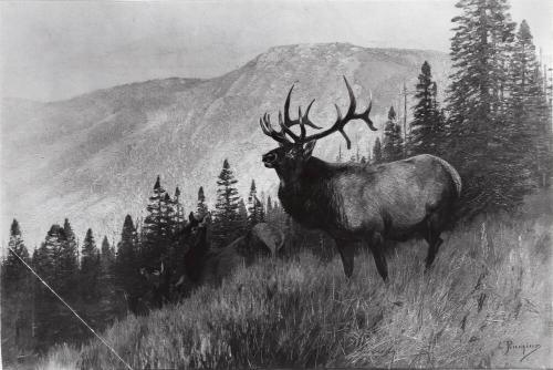 Courtesy of the Library of Congress