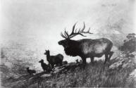 Courtesy of the Library of Congress