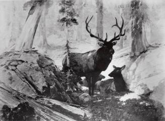 Courtesy of the Library of Congress