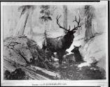 Courtesy of the Library of Congress