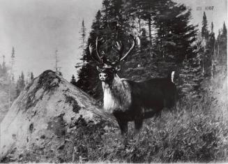 Courtesy of the Library of Congress