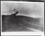 Courtesy of the Library of Congress