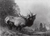 Courtesy of the Library of Congress
