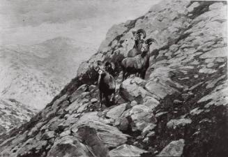 Courtesy of the Library of Congress
