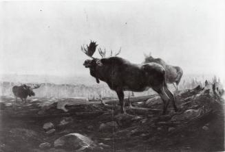 Courtesy of the Library of Congress