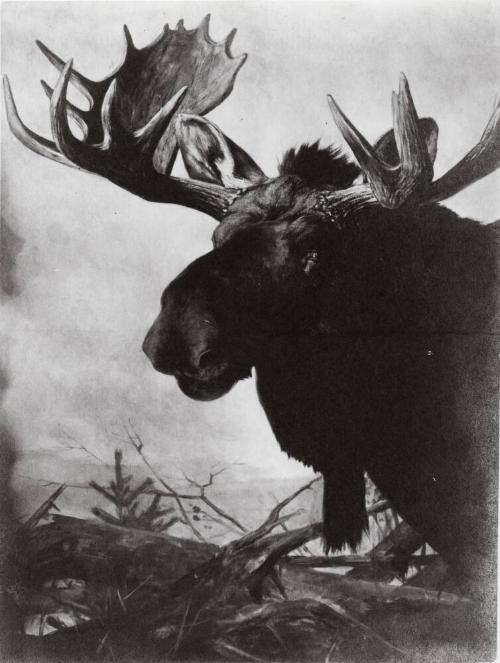 Courtesy of the Library of Congress