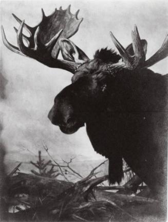 Courtesy of the Library of Congress