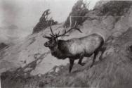 Courtesy of the Library of Congress