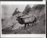 Courtesy of the Library of Congress