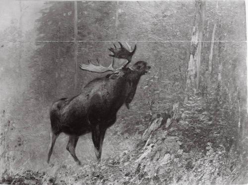Courtesy of the Library of Congress