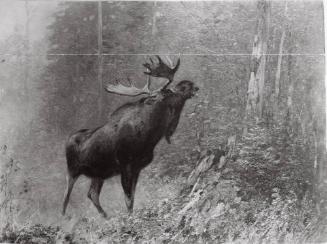 Courtesy of the Library of Congress
