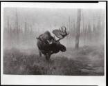 Courtesy of the Library of Congress