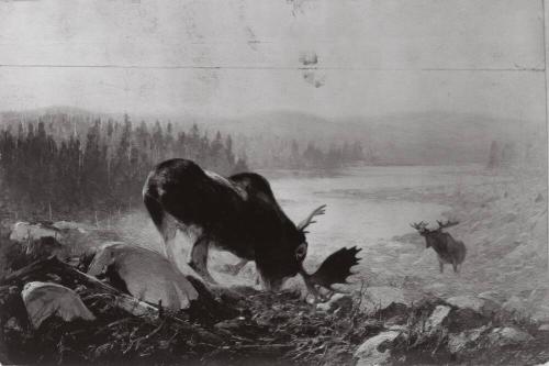 Courtesy of the Library of Congress