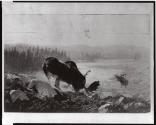 Courtesy of the Library of Congress