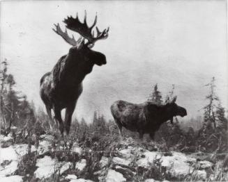 Courtesy of the Library of Congress