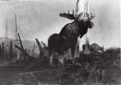 Courtesy of the Library of Congress