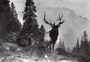 Courtesy of the Library of Congress