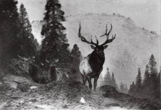 Courtesy of the Library of Congress