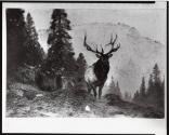 Courtesy of the Library of Congress