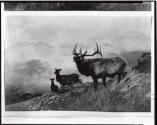 Courtesy of the Library of Congress